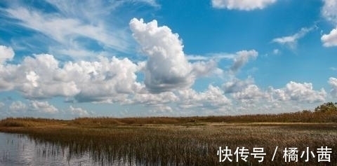 后半辈子|近期,大吉大利,灾难不近,平安顺遂,大走财运的三大生肖