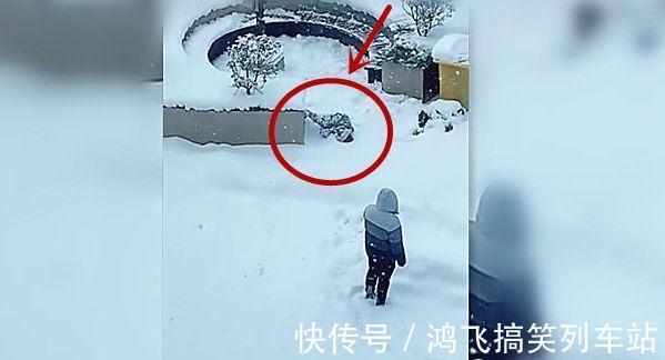 亲爹|让爸爸带儿子去看雪,透过窗户看到如此画面,妈妈捂头:亲爹