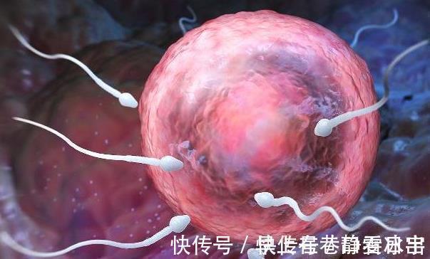 月经|月经走后啥时候会进入排卵期备孕时抓住这些信号,轻松接好孕