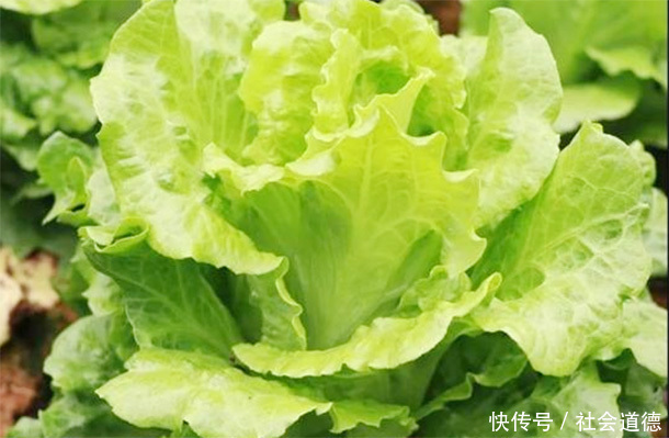 中年|冬天女性多吃“补水菜”,护肤减肥,防癌