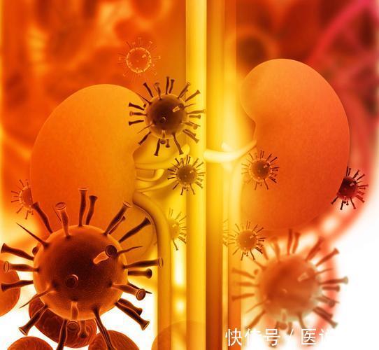 肾小管|糖尿病患者,肾脏受损后,排尿会有5种表现,当心尿毒症已来临