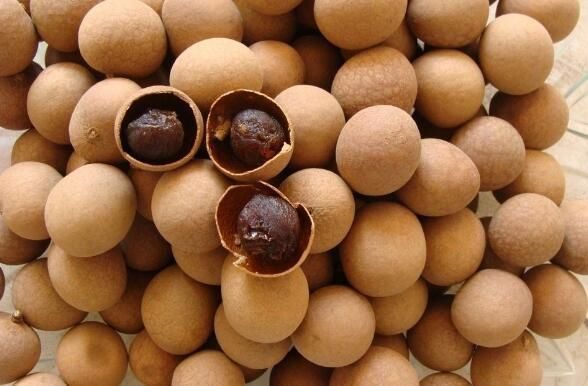 食用|桂圆不是你想吃就能吃的, 这些人一口也不能多吃!