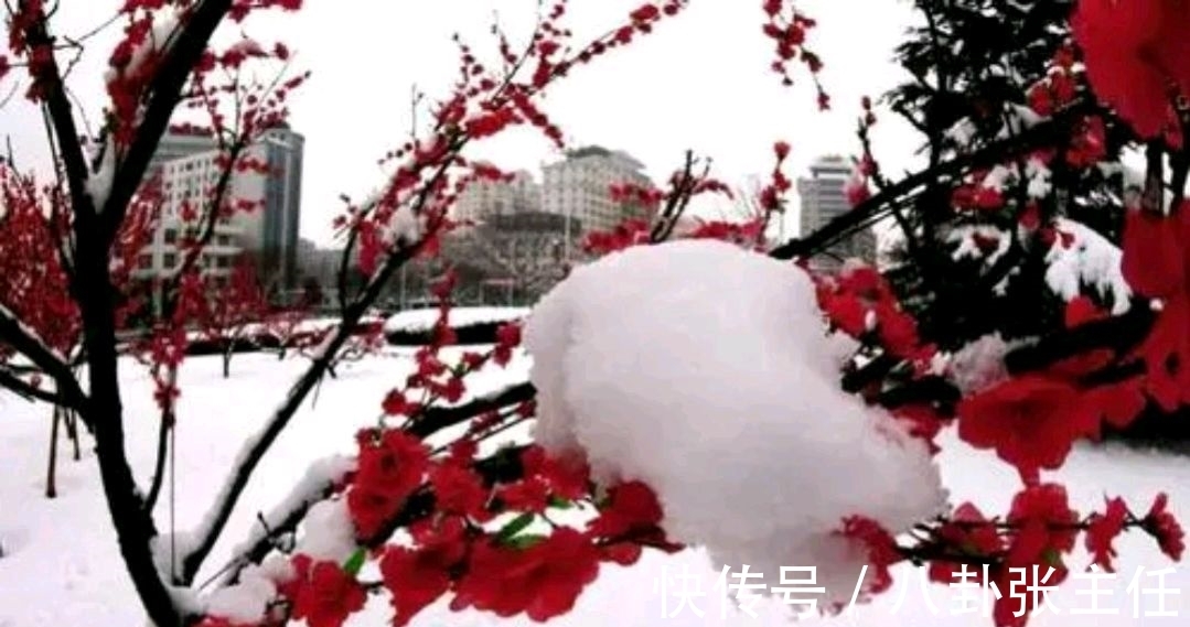 争锋$野渡征联:梅雪争锋春设局,征对下联