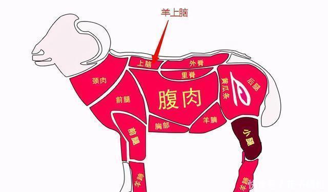  上脑|买羊肉时，内行人专挑4个部位，这是“羊肉四宝”，好吃又营养