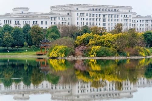 从这几点看出电子科技大学怎么样，学校环境好不好