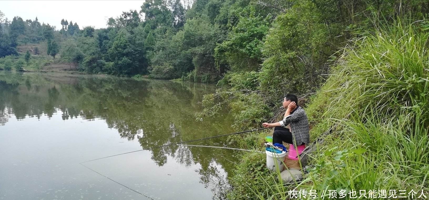 味型|老玉米做窝料，嫩玉米做饵，加上这两个技巧，草鱼很容易就上钩了