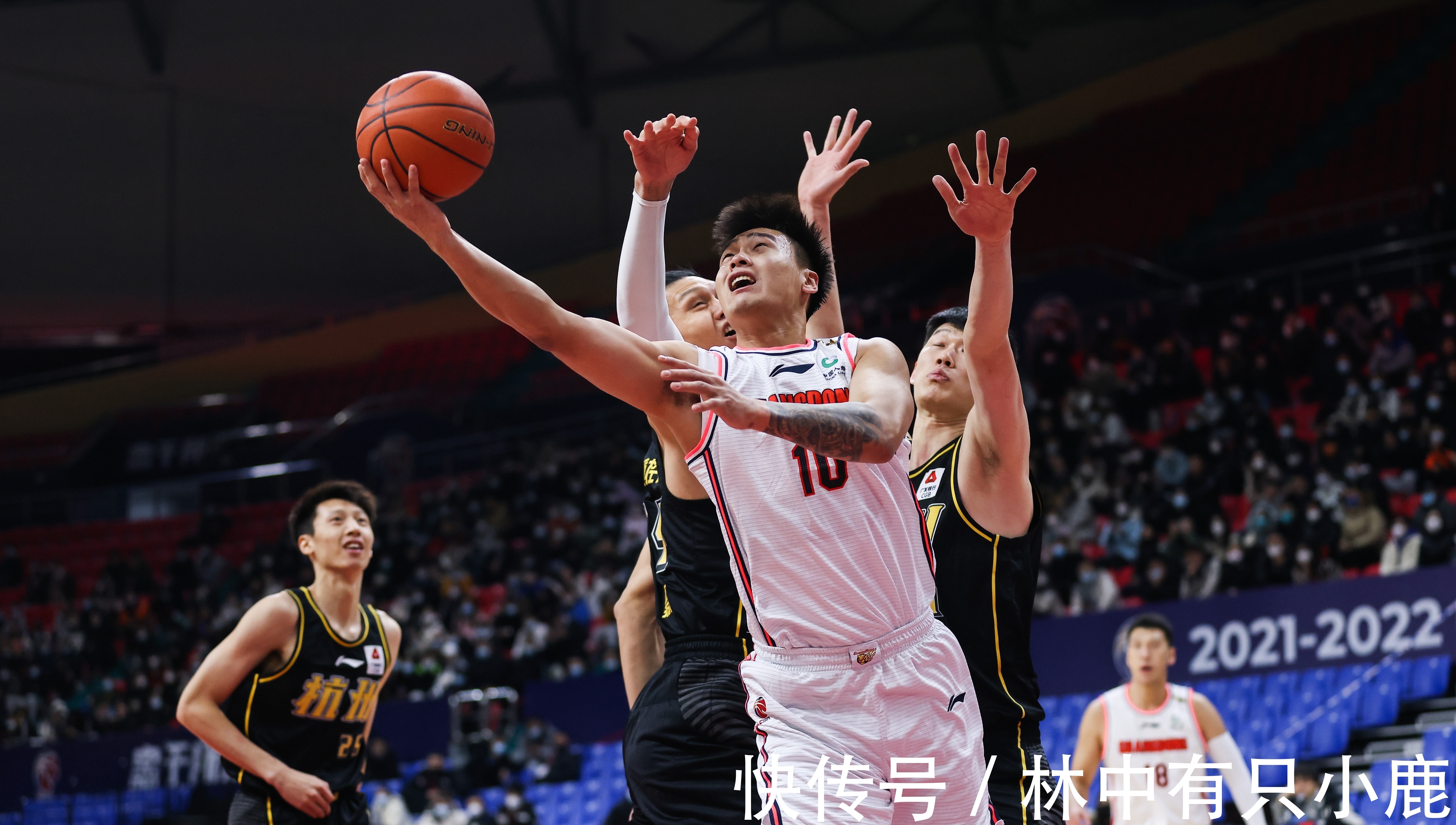 广东|纵观CBA｜1476天后再遭两连败，广东男篮发生了什么