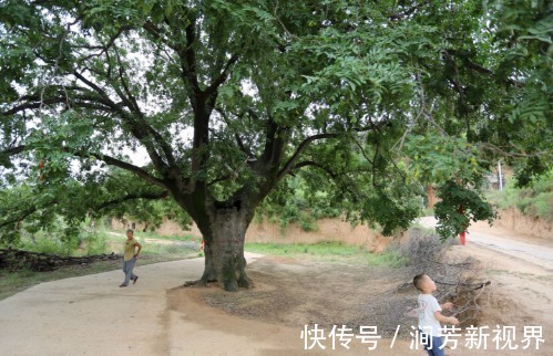 放暑假|孙子放暑假回农村避暑，6旬奶奶乐开了花，看奶奶陪孙子都玩些啥