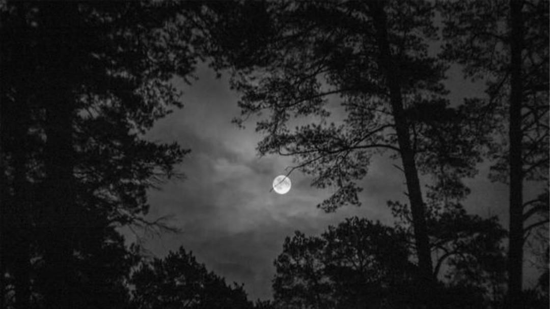 小修$明朝才子袁中道一首抒情诗,只有短短的20个字,却美得令人心醉!