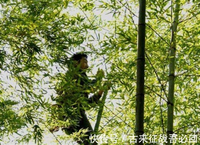 技艺|竹海飞人8岁爬竹子,年过半百仍在竹上行走,今无人传承境地尴尬