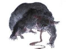 山海经|山海经:有多少神奇的虫子,能吃吗?为何人也算也是虫子的一种?