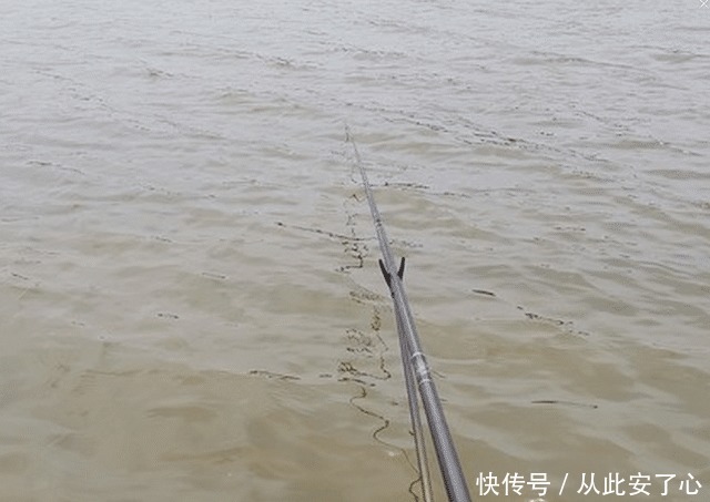 想钓大鲤鱼很难么教你4招钓到手软,3斤一下直接放生!