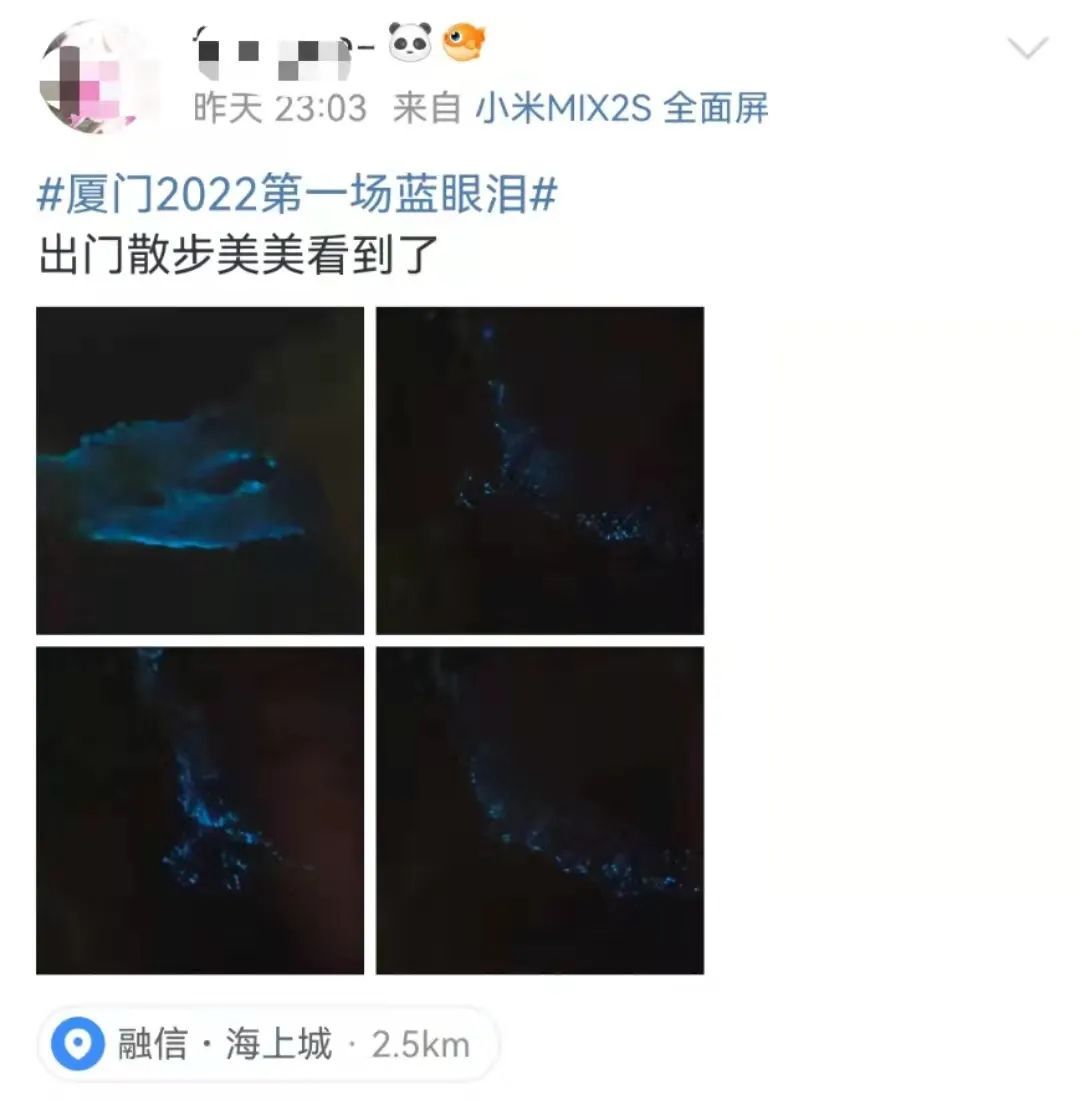 海峡导报|突发！厦门海沧湾公园人人人人人