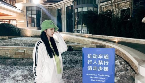 赵小棠穿豹纹短裙加大背头,满满的御姐范儿,没想到身材这么好!