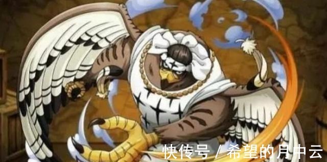 海贼王|海贼王速度最快的5个能力者