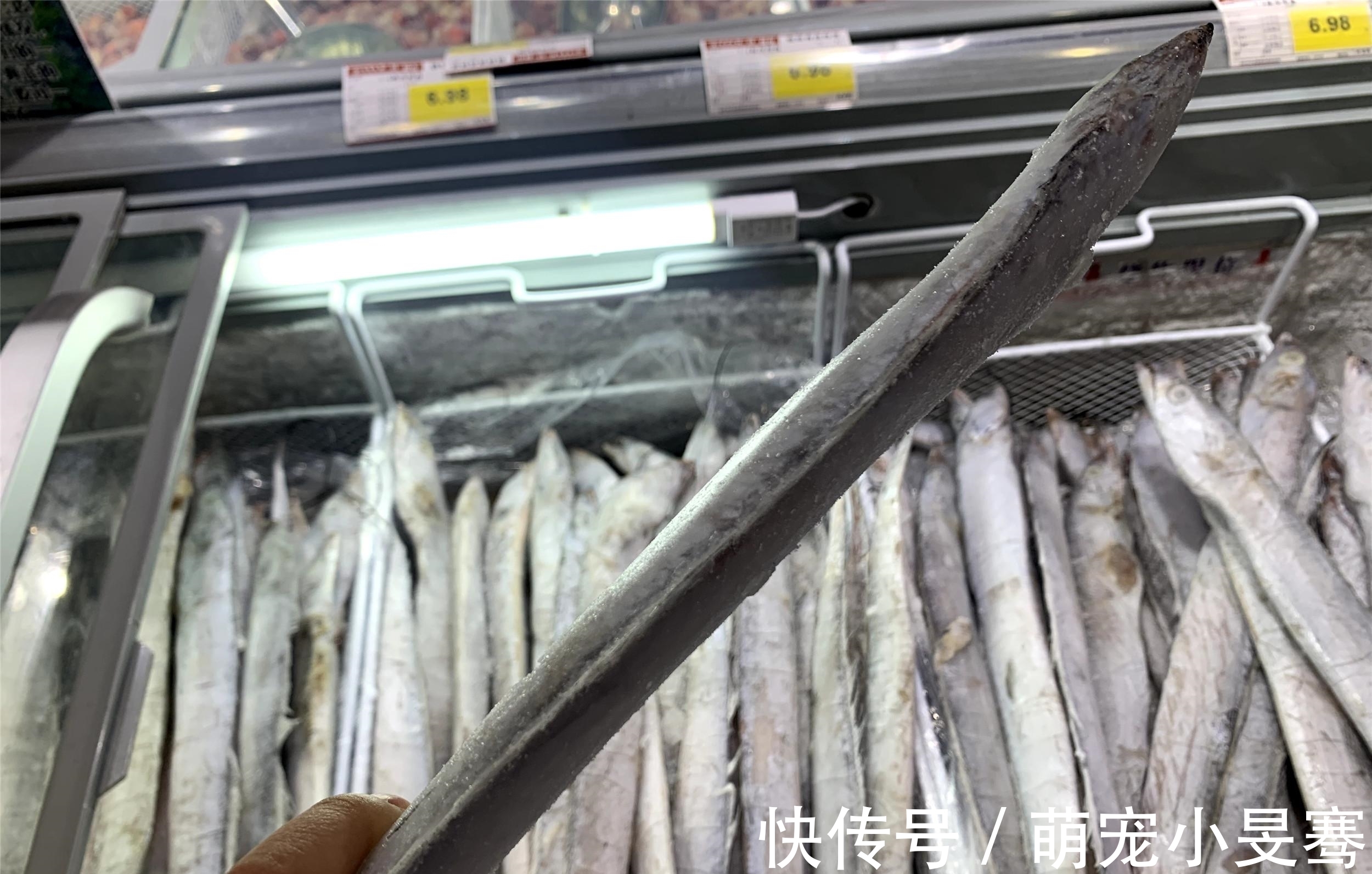 买带鱼时,记住选择“三小一厚”,条条细嫩鲜美,鱼腥味小