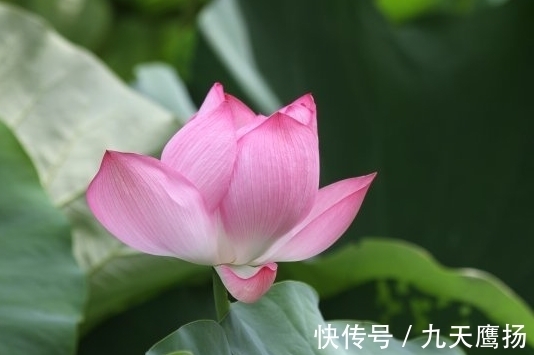 阴阳互根|10月下旬,4属相遇贵人喜进门,桃花旺盛,财源广进,生活顺心