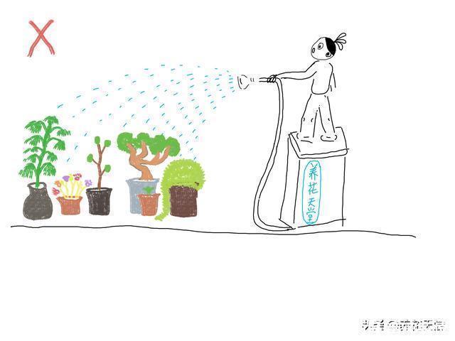 新手|7种常见的浇水方式，不仅新手不懂，有些人养花10年都没搞清楚
