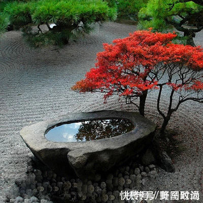 日本庭院为何大受欢迎?这14个日式庭院设计,果然诱惑满满