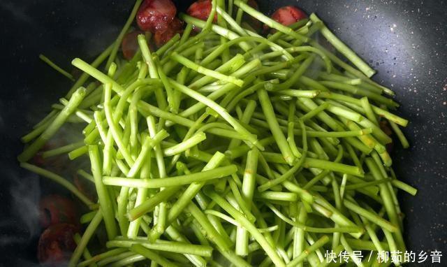 滋养|这道菜一年前是30元一公斤,现在是2元,你应该多吃春天和滋养