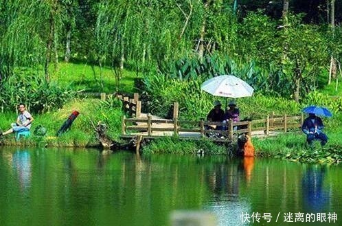 鲫鱼|春天来了，大鲫鱼喜欢藏在这些位置，这些地方下竿一钓一个准！
