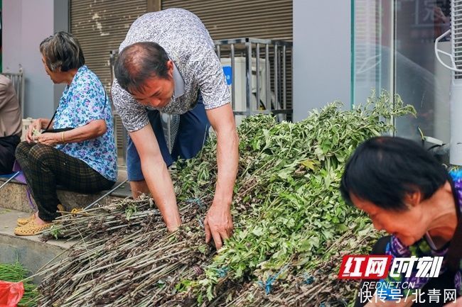 集市|蓝山：端午集市人气旺