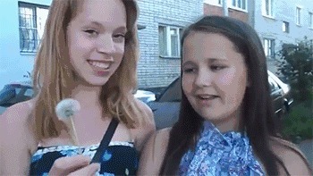 |搞笑GIF:花了三个月改装的,准备开着去撩妹,刚出村口就被查了