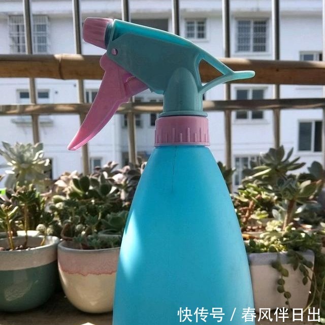 多菌灵用处大,养花离不了,防烂根黄叶,便宜又好用,养花一级棒