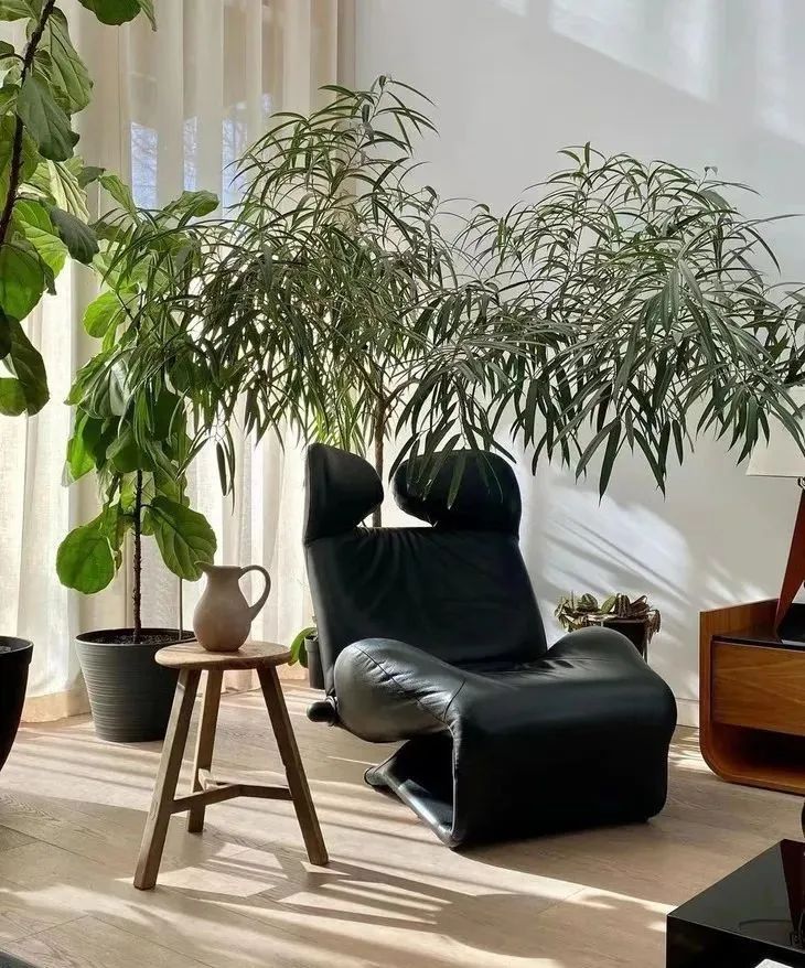 办公椅|居家第N天,某宝给我推了“盘腿神器”