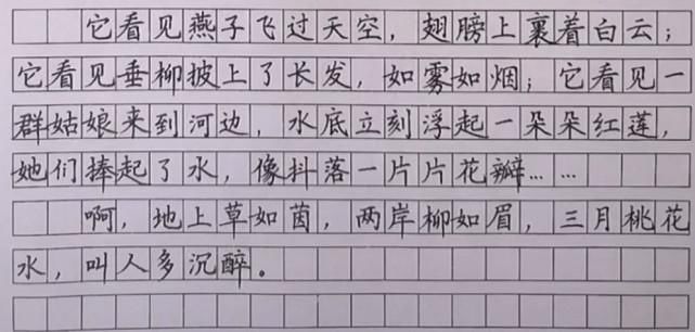 家长晒四年级学霸的抄写作业，字迹堪比“教科书”，老师赞叹不已