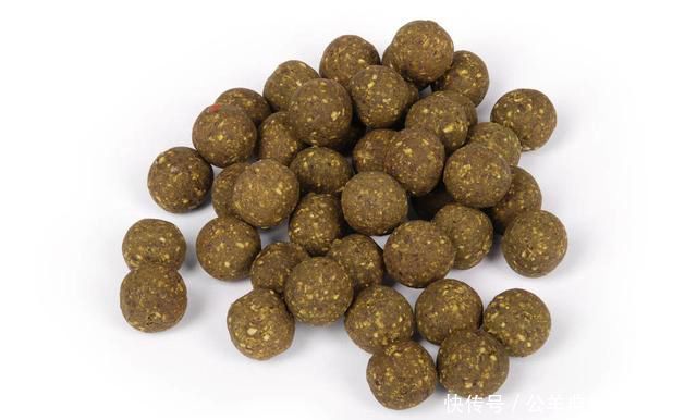 学习|垂钓干货浮漂“翩翩起舞”怎么办,学习这几招,轻松应对杂鱼闹