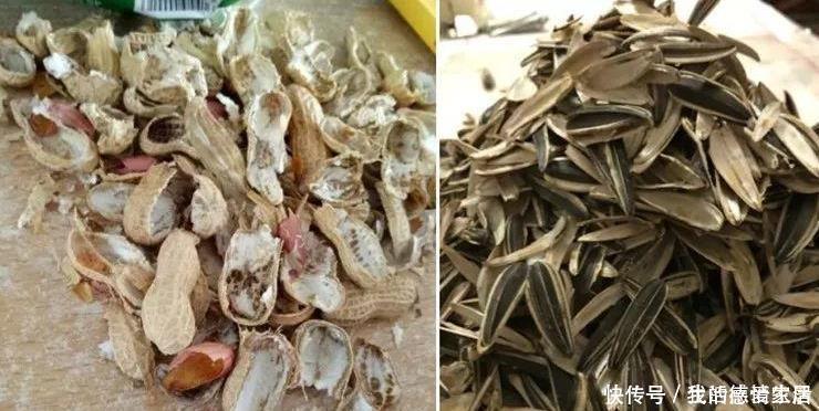 花盆里加点这个,不烂根不黄叶,轻松养满盆