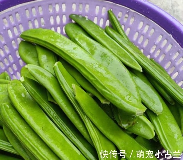 食物|最补钙的食物是它,正当季,一盘等于10个鸡蛋,孩子长个头不长肉