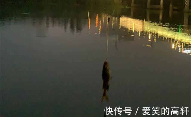 串钩|夏季夜钓黄颡鱼，最省时省力，莫过于串钩钓法，渔获相当有保证