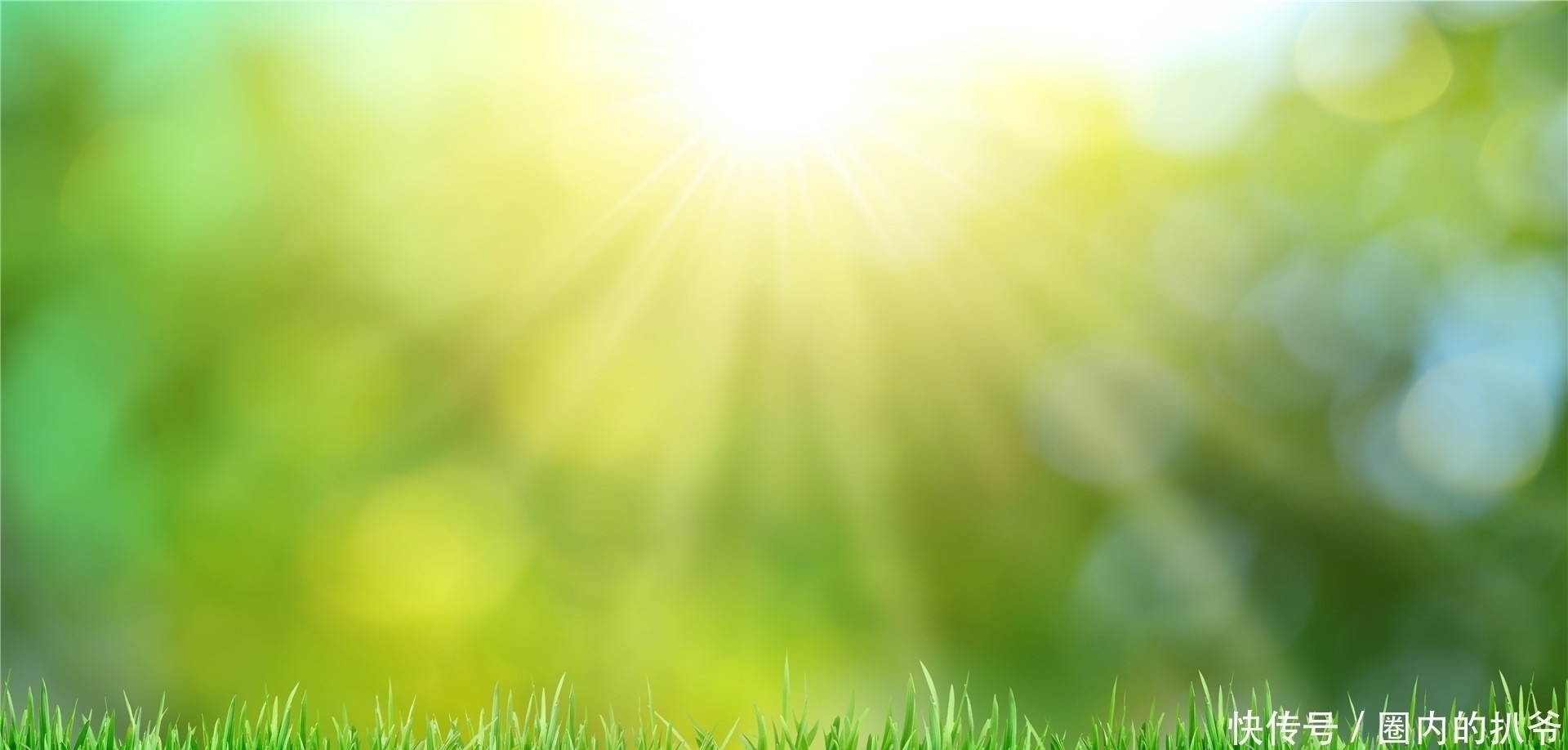 钓法|下面3种情况,钓鲫鱼是不能钓底的;不信的话,你可以试试