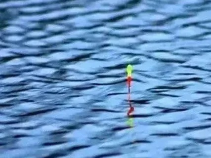 鲤鱼这钓法,我用了30年,每次渔获几十斤!