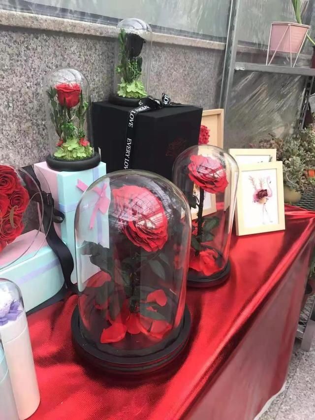 又一打卡地!快来长春农博园赏美景、购好物