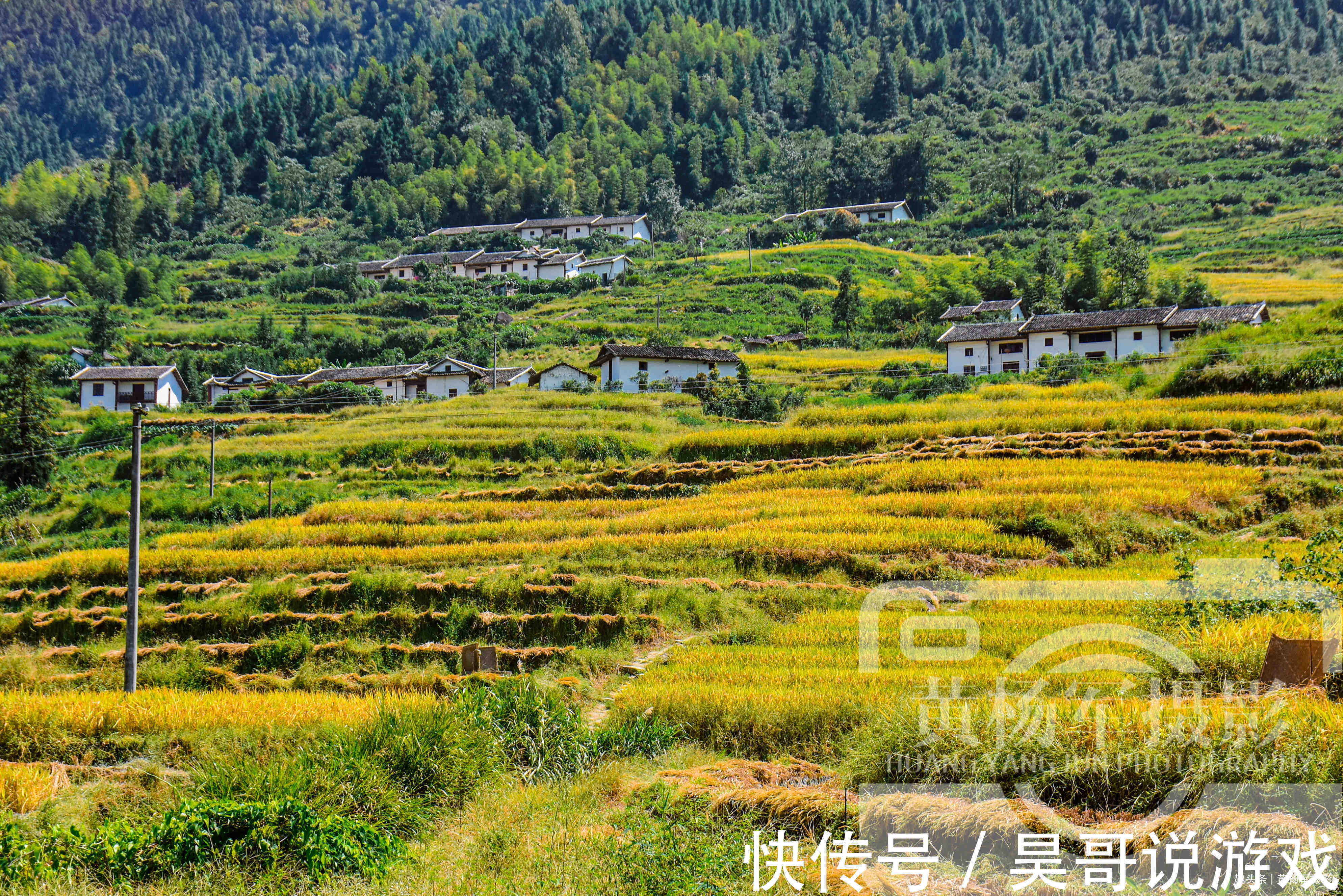 黄杨军|江西地处偏远的县，有个镇客家人超80%，山间梯田层层叠叠景如画