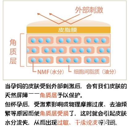 孕期护肤光靠水乳？孕妇界“有骨气”面霜直通车，少走弯路不费钱