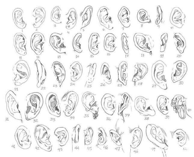 春季星座|不同的星座,就有不一样的“耳朵”!