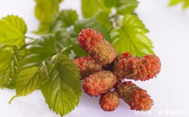 蔬菜|血糖高的人，多吃5种含有“天然胰岛素”的蔬菜，血糖慢慢降下来