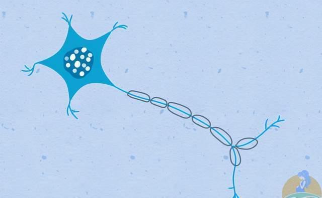 相关度|孩子智商究竟“随爹”还是“随妈”?真相也许跟你想的不太一样