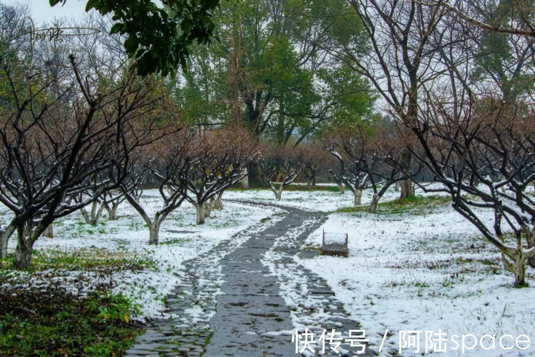 西溪|西溪湿地“福禄寿”三堤赏梅指南，这里也是春节后的踏青好去处