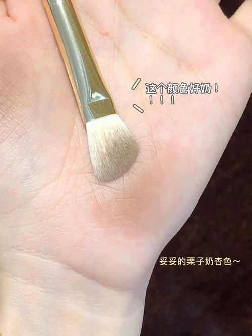 新手必看!低至九元的平价彩妆分享