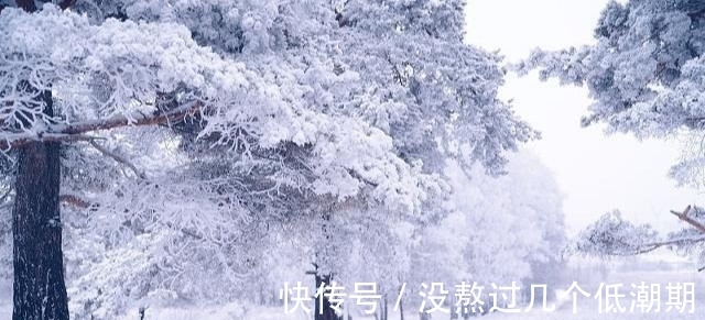 积雪&一念成诗！白居易在被窝被冻醒写首妙诗，短短20字令人拍案叫绝