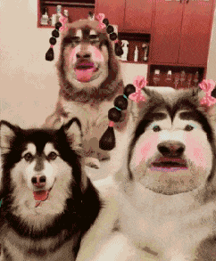 |搞笑GIF:骚年,抢一次镜头就好了,非要被打了才知道错