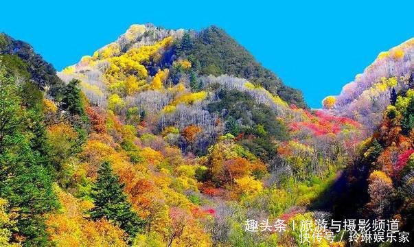 |我国面积最大“枫叶景区”！比香山大180倍是中国的阿尔卑斯！