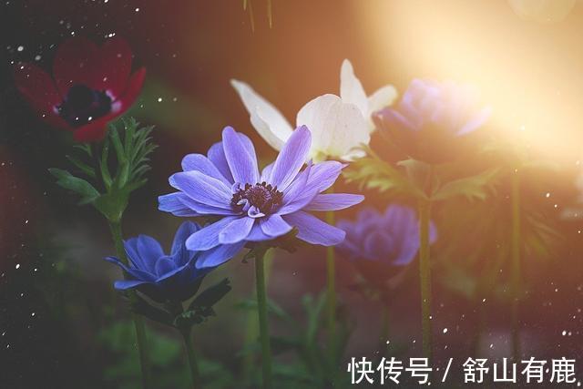 福运&“一念舍得,一生顺遂”:50岁后有福运的人,都舍得这4样东西