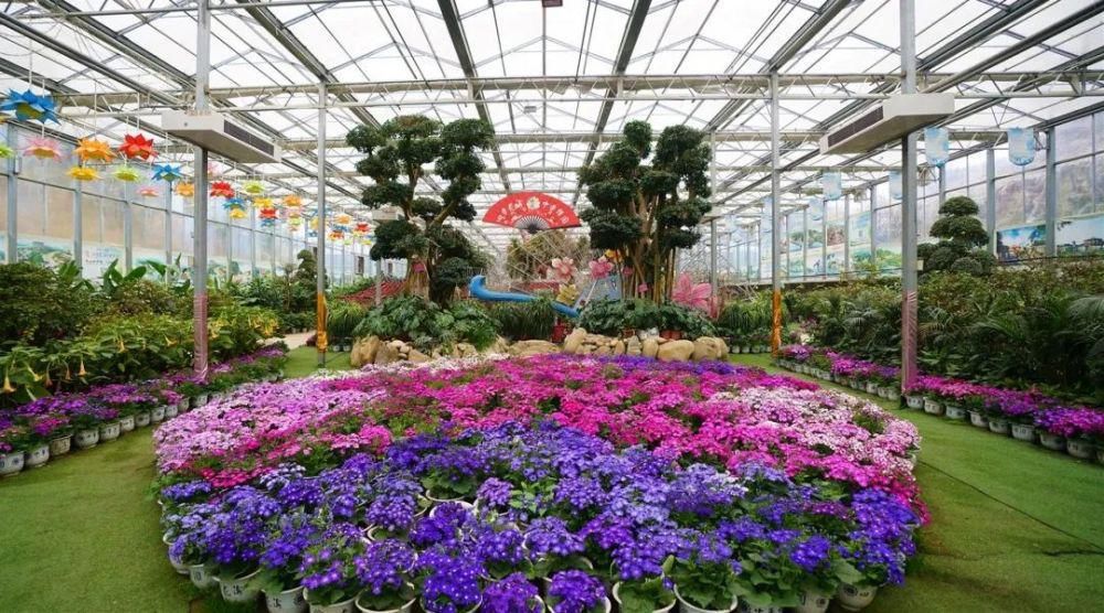 一座花卉展馆，一处浪漫温泉！泡着温泉看风景，今年春节就去这了