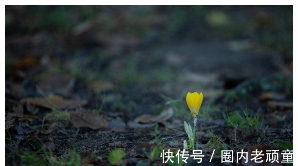 命理|两周后,旧爱离开,乌云散去,春暖花开,流连忘返,迎来美好生活